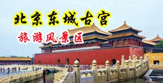 午夜精品18禁www中国北京-东城古宫旅游风景区